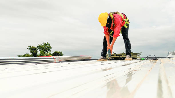 Best Gutter Installation and Repair  in Pageland, SC