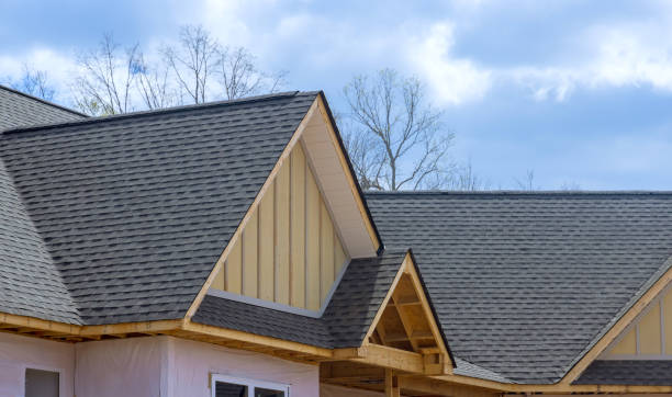 Best Roof Maintenance and Cleaning  in Pageland, SC