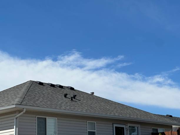 Best Asphalt Shingles Roofing  in Pageland, SC