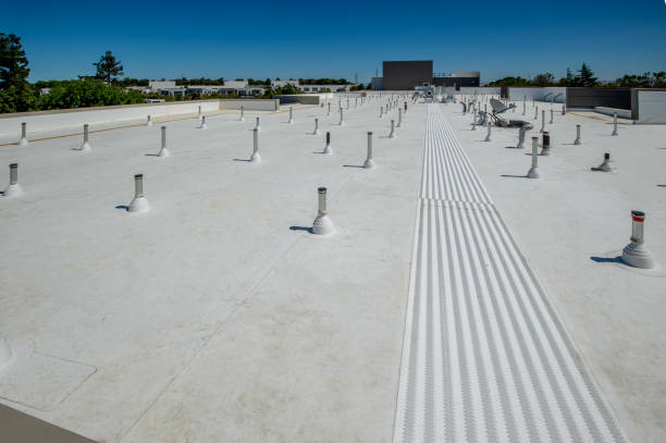 Best Solar Panel Roofing Installation  in Pageland, SC